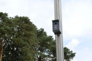 Spreeuwenkast bij de KNVB Spreeuwenkast bij de KNVB