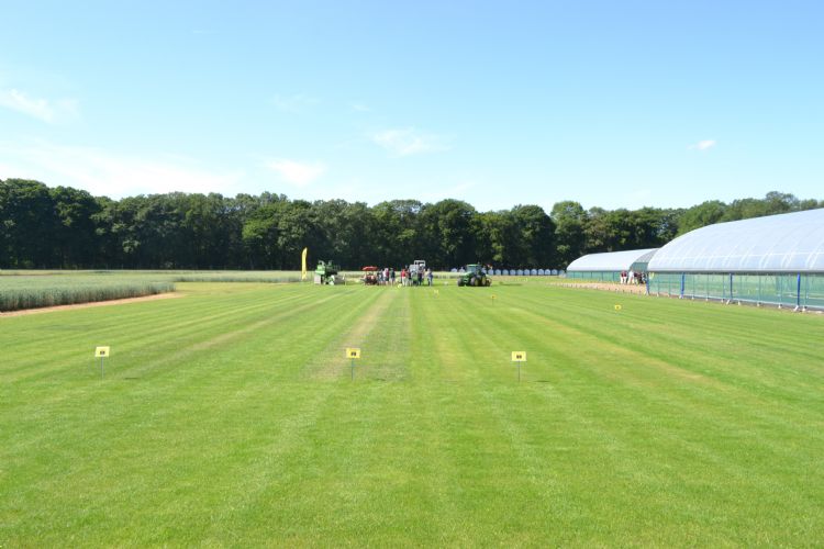 Proefvelden van Barenbrug Research. Proefvelden van Barenbrug Research.