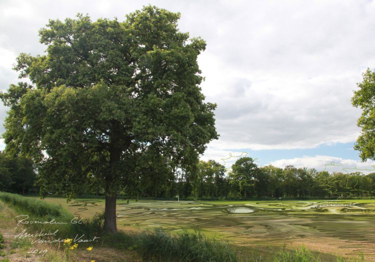 Een impressie van de nieuwe golfbaan