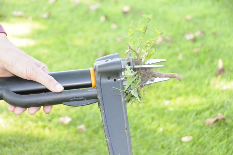 Penonkruiden aanpakken met de Fiskars Weed Puller is makkelijk, maar wel arbeidsintensief