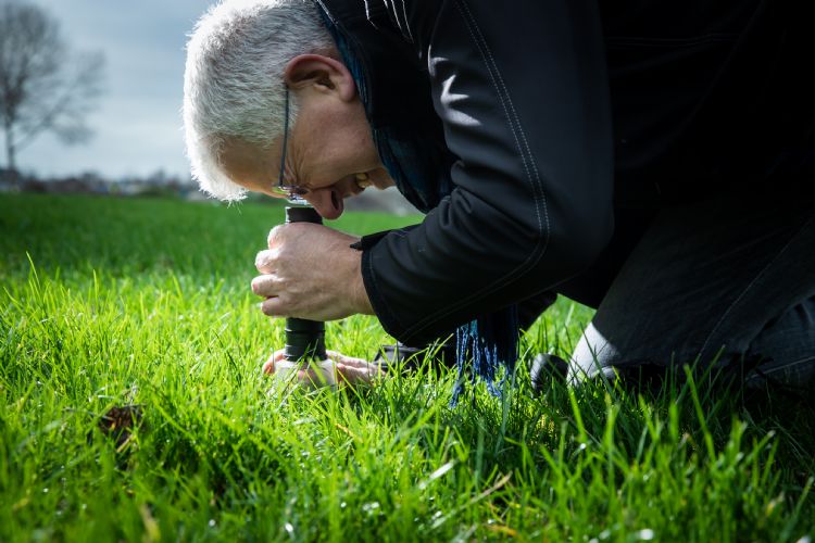 Mark Timmerman in actie met een macroscope