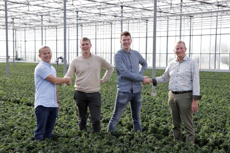  De jongere generatie Hoogendoorn neemt het over bij AltaNova, vlnr.: Reinier, Rien, Harm en Koos Hoogendoorn 