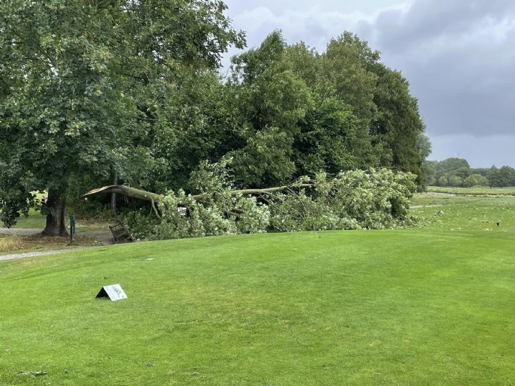 Emanuel Visinhos, assistent-hoofdgreenkeeper op Golfclub Almeerderhout plaatste diverse foto's op Facebook met als commentaar 'bedankt Poly'.